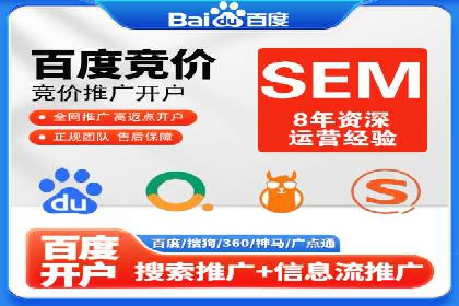 SEM公司案例分析：搜索引擎优化策略与执行